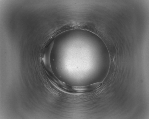 X0000063481348200601201233