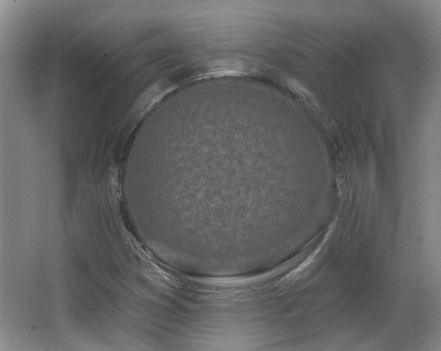 X0000063481353200601201232