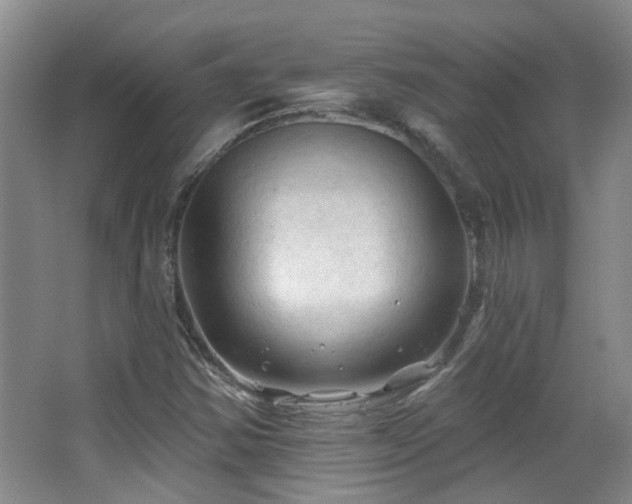 X0000063481354200601201232