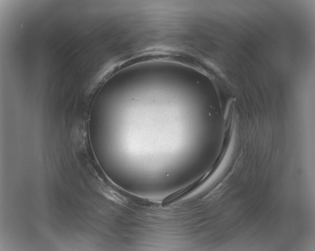 X0000063481355200601201232