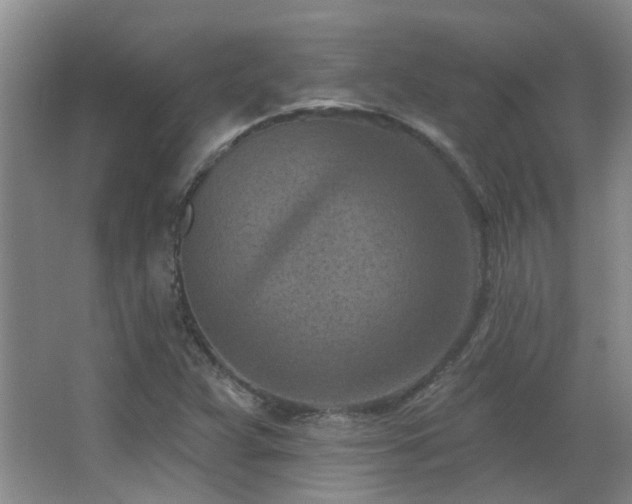X0000063481359200601201232