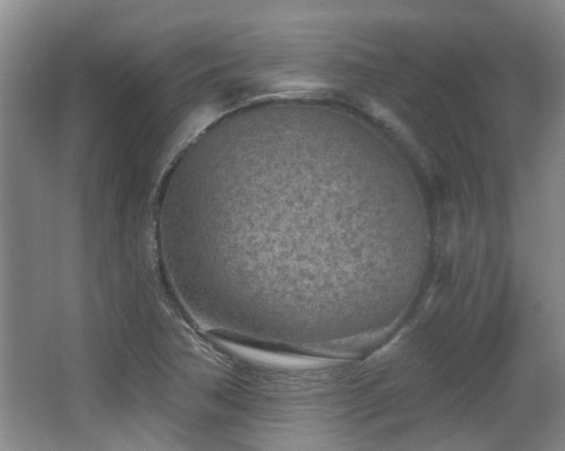 X0000063481362200601201232