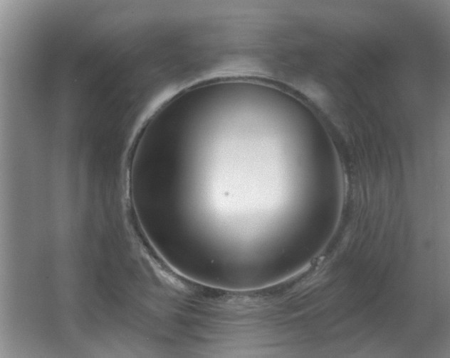 X0000063481366200601201232
