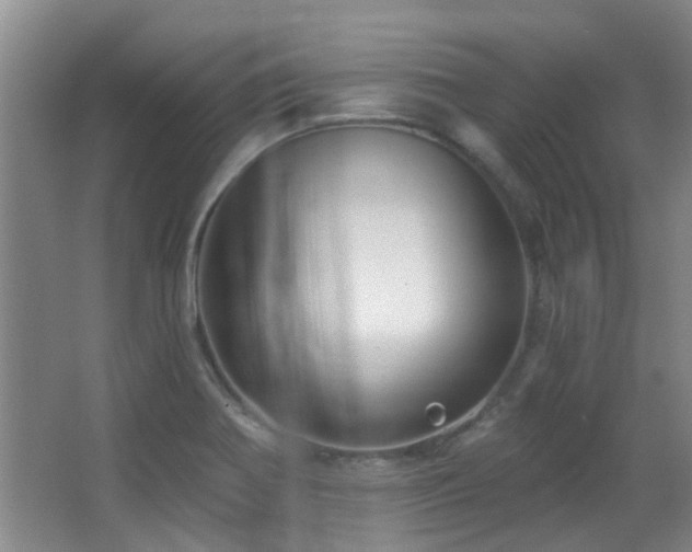 X0000063481370200601201232