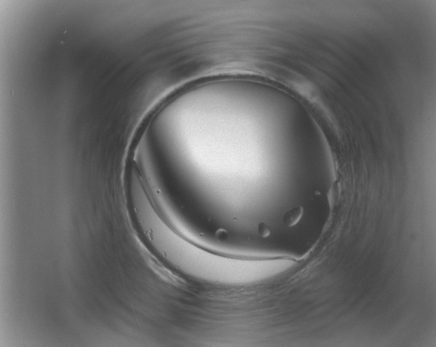 X0000063481372200601201232