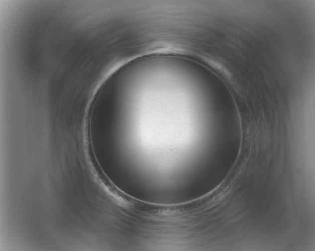X0000063481375200601201232