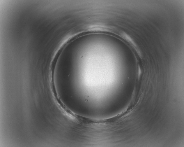 X0000063481376200601201232