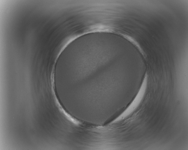 X0000063481383200601201232