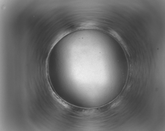 X0000063481386200601201232