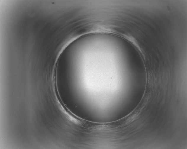 X0000063481387200601201232