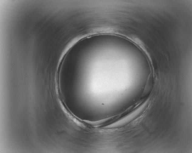 X0000063481389200601201232