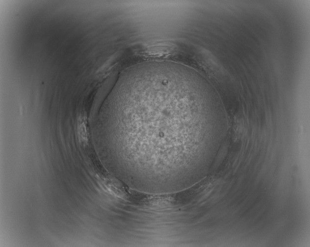 X0000063481394200601201231