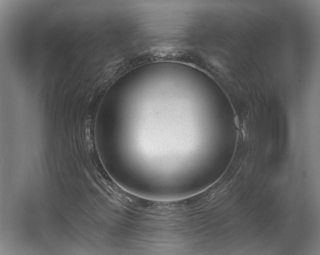 X0000063481396200601201231