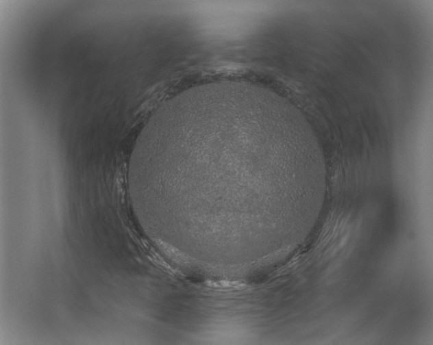 X0000063481397200601201231