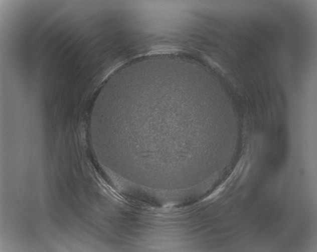 X0000063481401200601201231