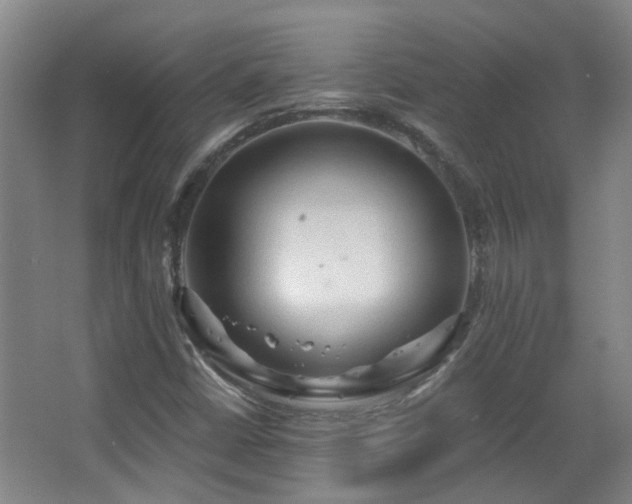 X0000063481402200601201231