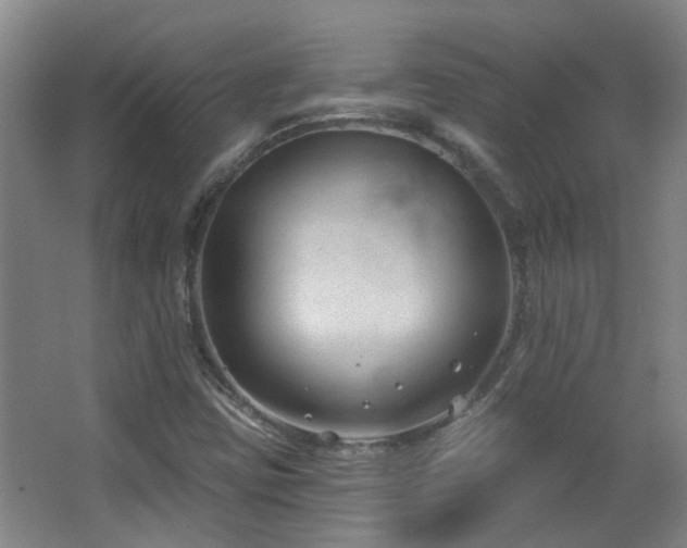 X0000063481403200601201231