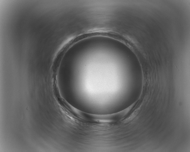 X0000063481406200601201231