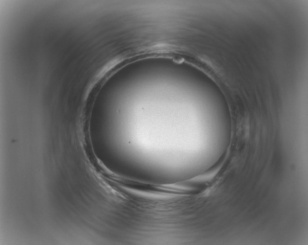 X0000063481410200601201231