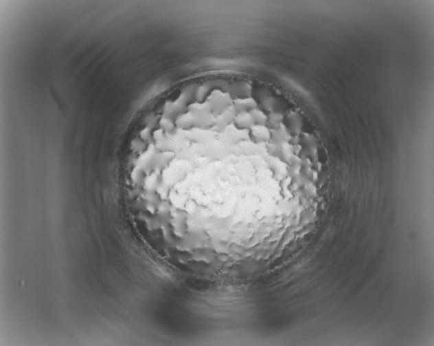 X0000063481411200601201231
