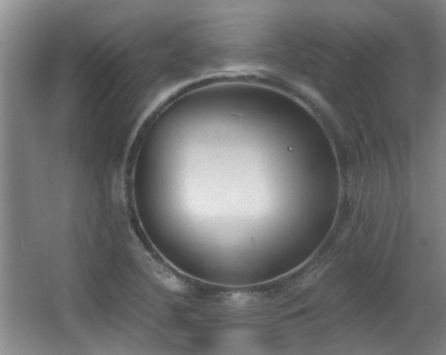 X0000063481412200601201231
