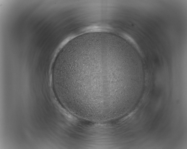 X0000063481419200601201231