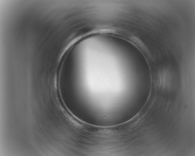 X0000063481420200601201231