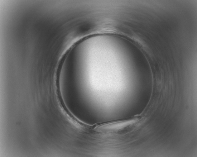 X0000063481422200601201231