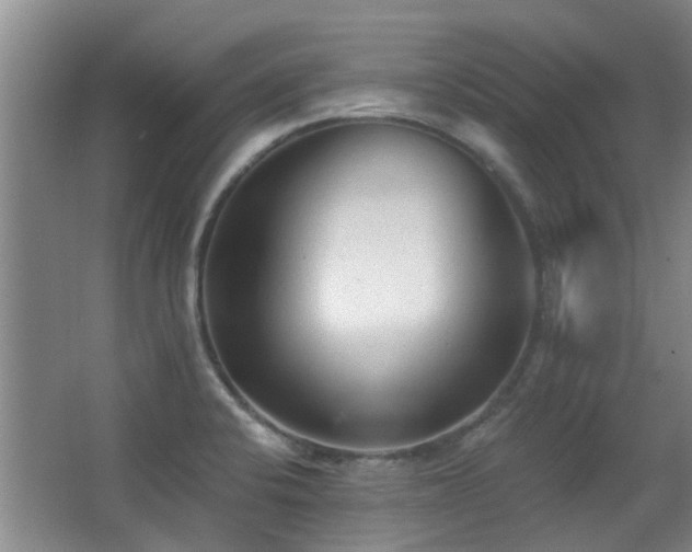 X0000063481424200601201231