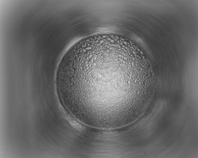 X0000063481427200601201232