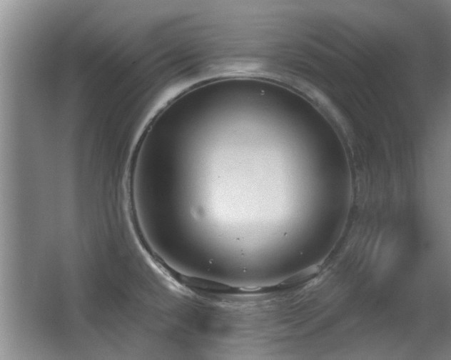 X0000063481432200601201232
