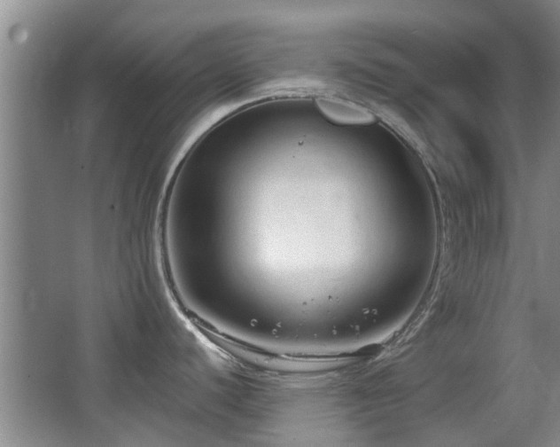 X0000063481440200601201232