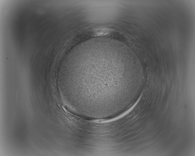 X0000063481441200601201231