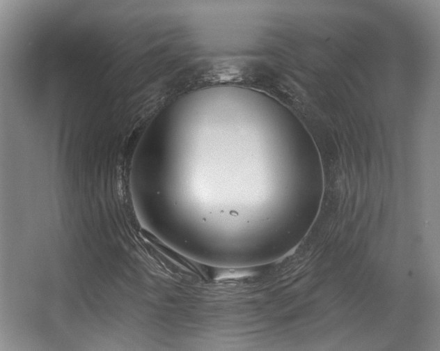 X0000063481442200601201231