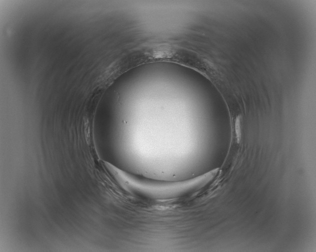 X0000063481443200601201231