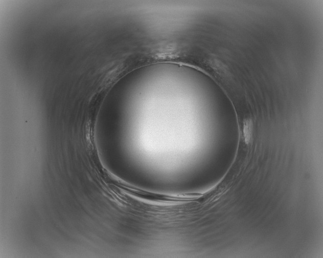 X0000063481444200601201231