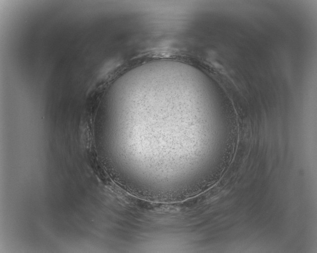 X0000063481446200601201231