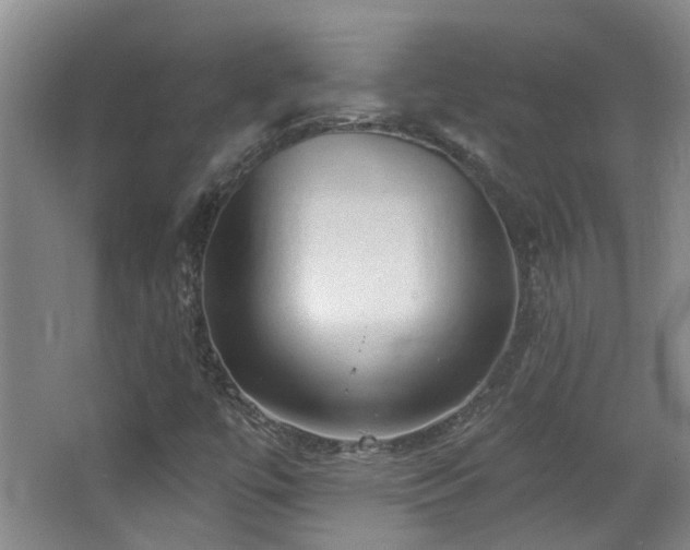 X0000063481447200601201231