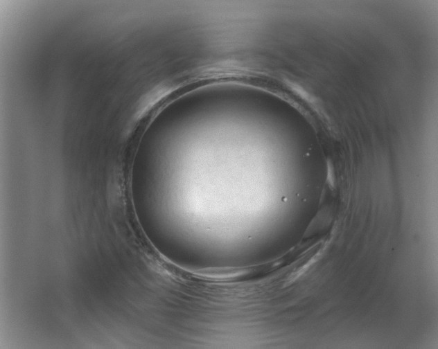 X0000063481453200601201231
