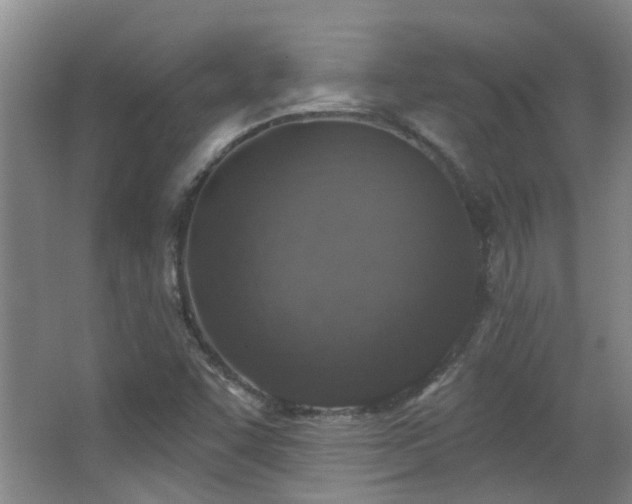 X0000063481455200601201231