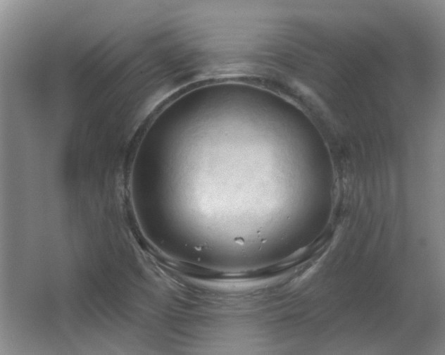 X0000063481457200601201231