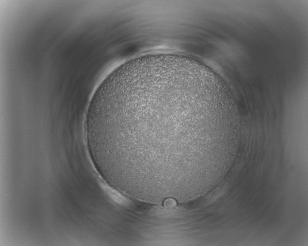 X0000063481474200601201230