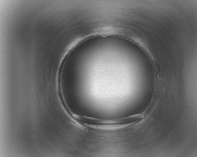 X0000063481477200601201230