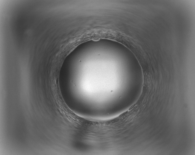 X0000063481489200601201229