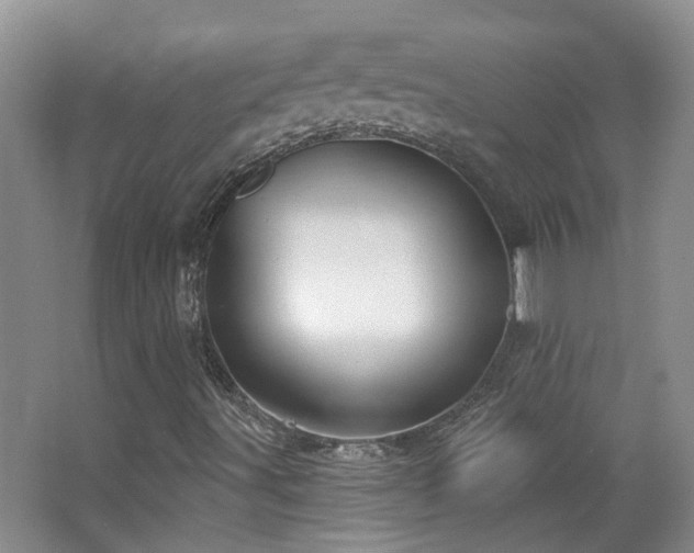 X0000063481491200601201229