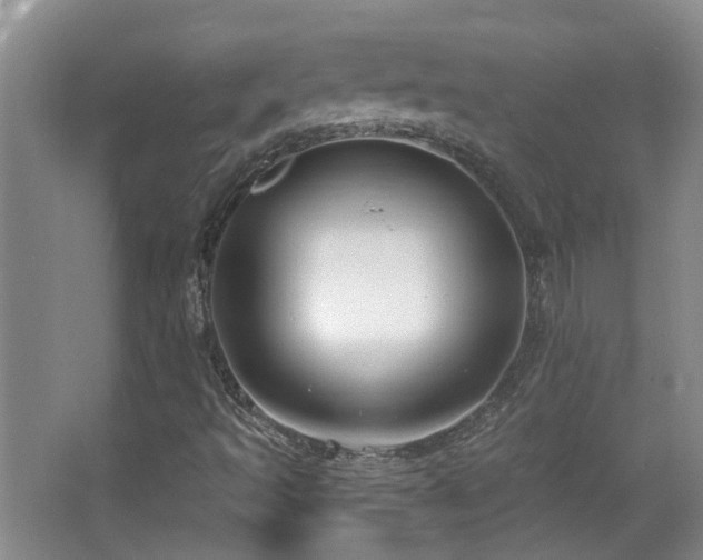 X0000063481493200601201229