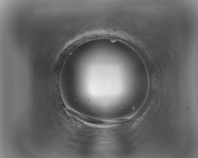 X0000063481494200601201229