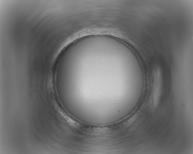 X0000063481498200601201229