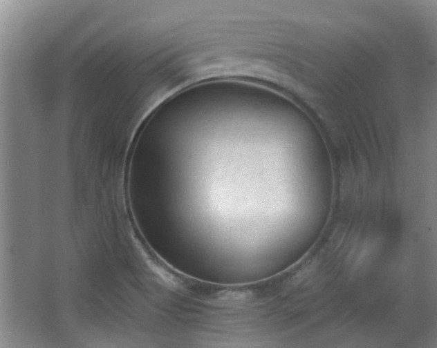 X0000063481513200601201230