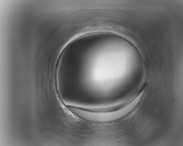 X0000063481534200601201230